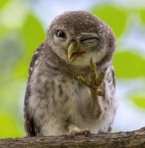 Meet your Posher, Yolanda